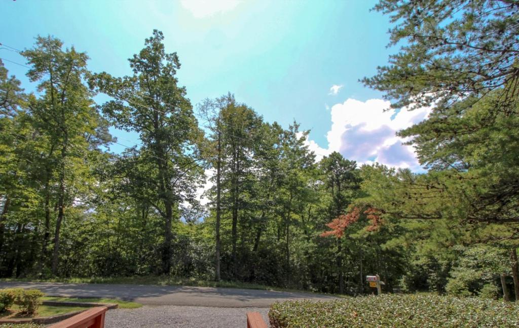 Mountain Dew - 2 Bedrooms, 2 Baths, Sleeps 4 Cabin Gatlinburg Extérieur photo